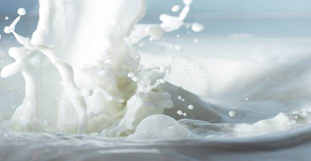 Dairy Stabilizers